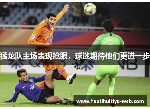猛龙队主场表现抢眼，球迷期待他们更进一步